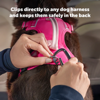 PetSafe Safety Seatbelt Tether