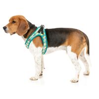 FuzzYard Step-In Dog Harness - Bananarama - XX-Small (34-36 Neck - 39-41cm Chest)
