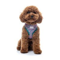 FuzzYard Dog Harness - Samba Melon