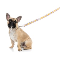 FuzzYard Dog Lead - Easy Peasy