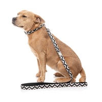 FuzzYard Dog Lead - Intersect