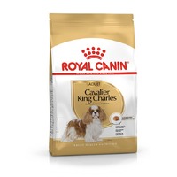 Royal Canin Cavalier King Charles