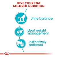 Royal Canin Feline Urinary Care in Gravy