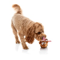FuzzYard Christmas Dog Toy - Runaway Reindder