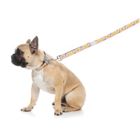 FuzzYard Dog Lead - Easy Peasy