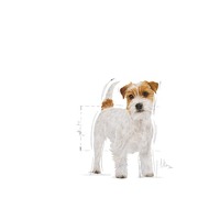 Royal Canin Jack Russell Terrier