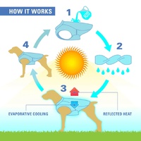 Kurgo Core Dog Cooling Vest