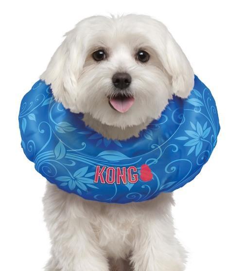 kong dog collar cushion