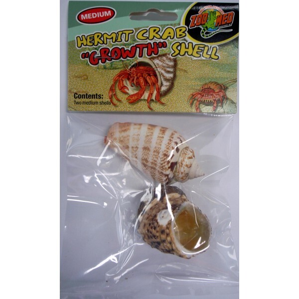 Medium Zoo Med Hermit Crab Growth Shell 2-Pack 