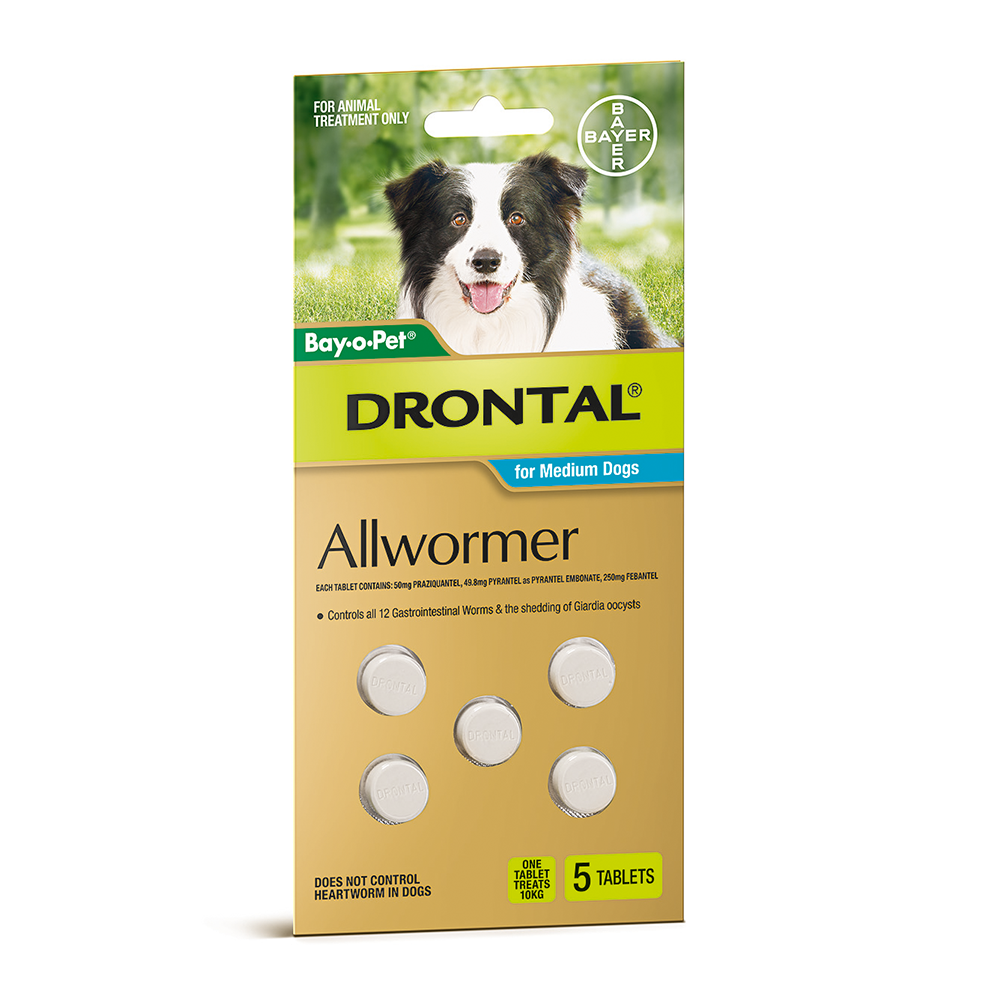 Drontal All Wormer Tablets for Medium Dogs 10 kgs Tablets 5 pack