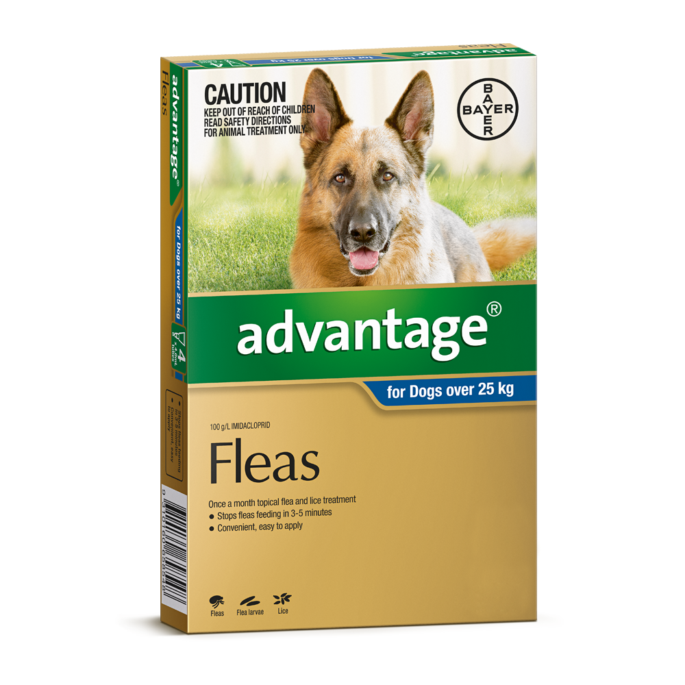 Flea treatment for 3 month shop old puppy