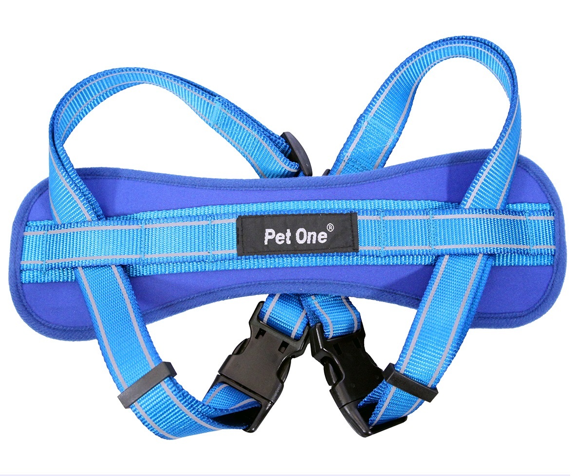 Pet One Reflective Padded Dog Harness 5084cm x 25mm Blue/Blue