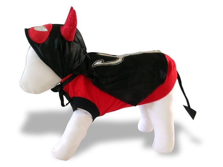 Little Devil Costume for Dogs Dog Bless You