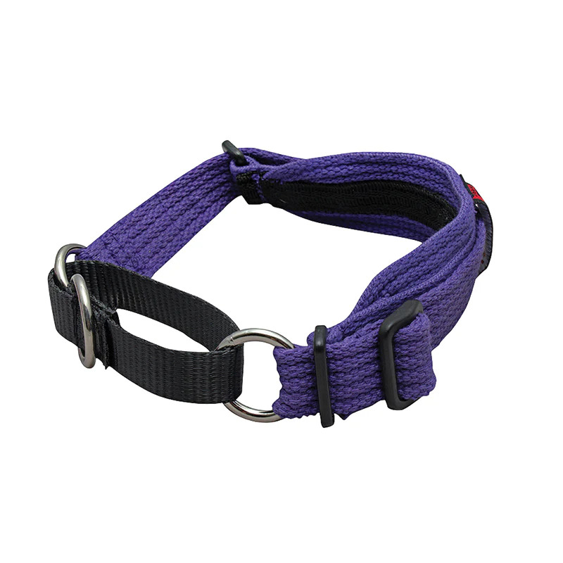 Black Dog Whippet Dog Collar (28cm36cm) (Purple)