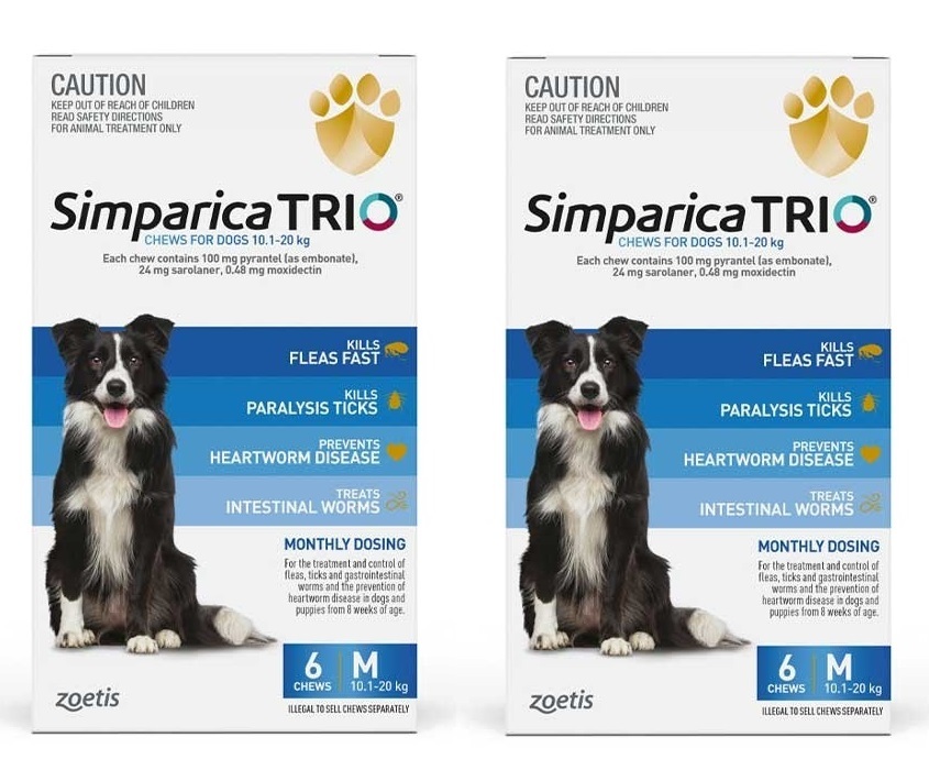Simparica TRIO for Medium Dogs 10 1 20kg Blue 12 Pack Flea Tick 