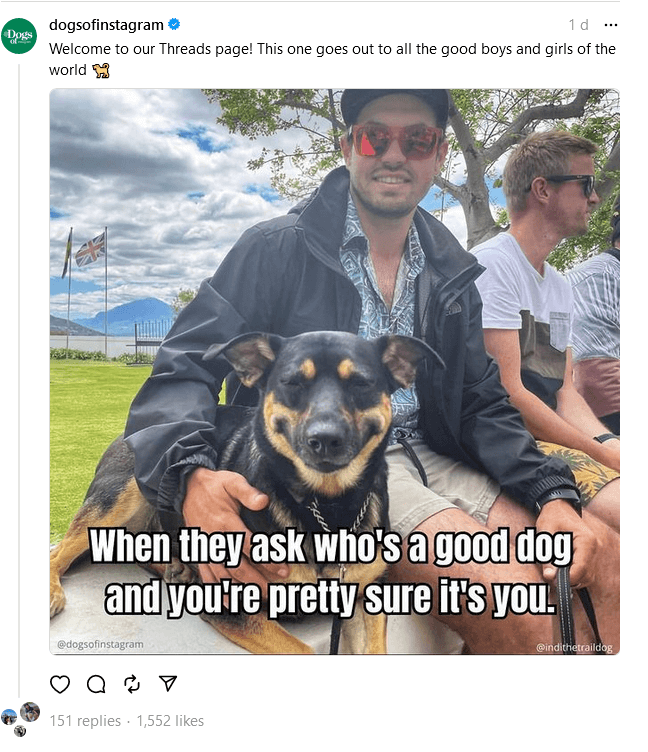 DogsOfIG (@dogsofinstagram) on Instagram Threads