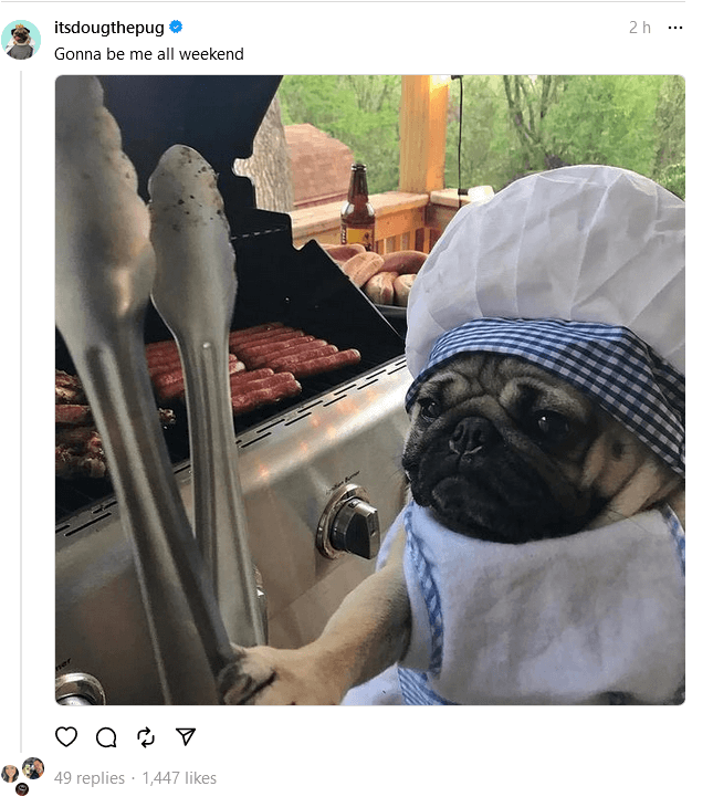 Doug the Pug (@itsdougthepug) on Instagram Threads