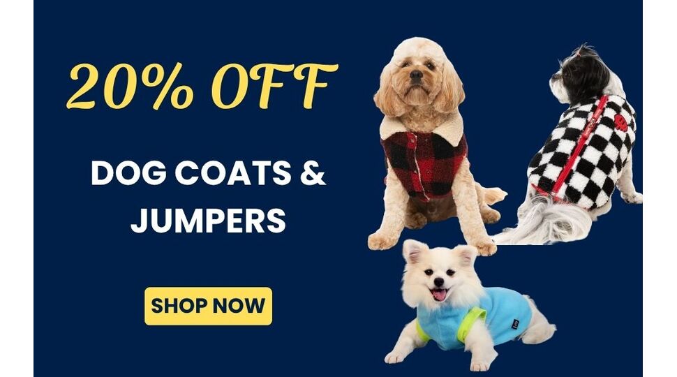 Dog Coats 20% OFF