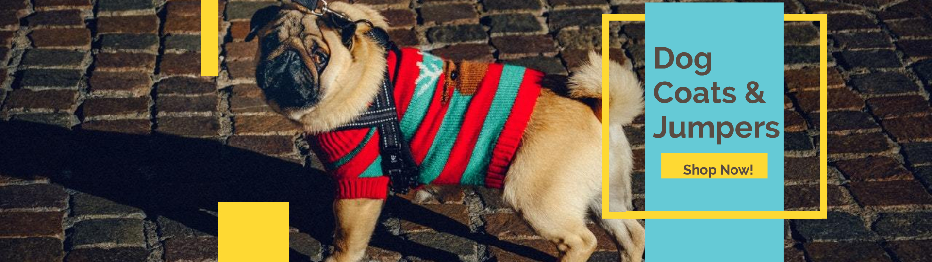 Dog Coats & Jumpers Banner