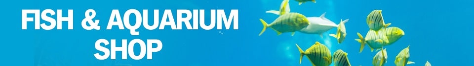 Aquarium