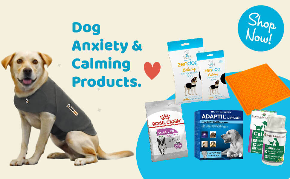 dog care products online