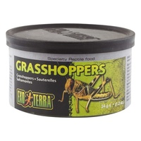 Exo Terra Wild Male Grasshoppers Reptile Food - Small (34g)