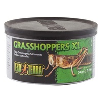 Exo Terra Wild Grasshoppers Reptile Food - X-Large (34g)