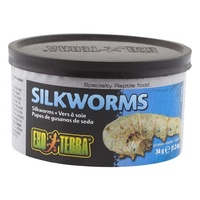 Exo Terra Wild Silkworms Reptile Food - Medium (34g)
