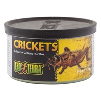 Exo Terra Crickets Reptile Food - Small (34g)