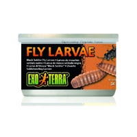 Exo Terra Fly Larvae - 34g