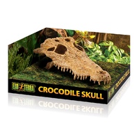 Exo Terra Crocodile Skull - Medium