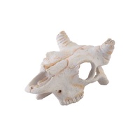Exo Terra Buffalo Skull - Small