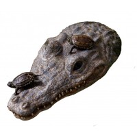 Exo Terra CrocTurtle Island