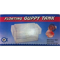 Floating Guppy Tank
