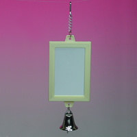 Two Sided Rectangular Mirror with Bell Bird Toy