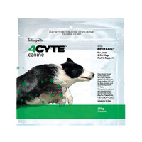 4CYTE Canine Granules for Dogs