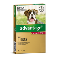 Advantage for Dogs 10-25 kgs - 4 Pack - Red