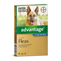 Advantage for Dogs over 25 kgs - 4 Pack - Blue