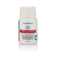 Blue Planet Fluke & Tapeworm Tablets - 25 Tabs