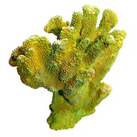 Aqua One Copi Coral Isopora Ornament (27x15.3x27.3cm)