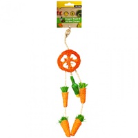 Pet One Small Animal Veggie Rope & Straw Hanging Dreamcatcher - 26cm