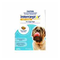 Interceptor Spectrum for Large Dogs 22-45 kgs - 6 Pack - Blue