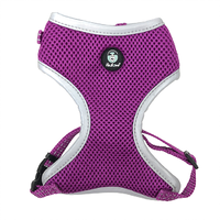 Huskimo EasyFit Dog Harness - Medium - Aurora (Purple)