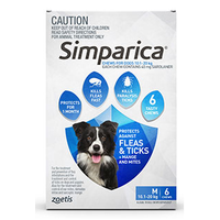 Simparica for Medium Dogs 10.1-20kg - Blue - 6 Pack