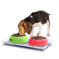 Ant Proof Plate for Dog & Cat Food Bowl - Rectangle