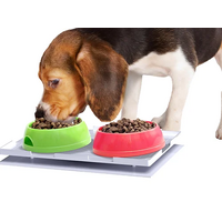 Ant Proof Plate for Dog & Cat Food Bowl - Rectangle