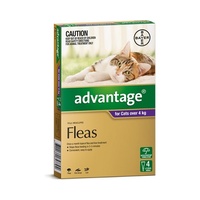Advantage for Cats Over 4kg (Purple)