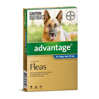 Advantage for Dogs over 25 kgs - Blue