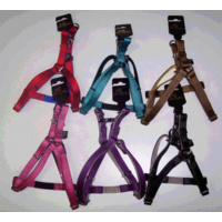 Elegantz Two-Tone Nylon Dog Harness - Medium (20mm x 50-70cm)