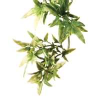 Exo Terra Hanging Rainforest Plant - Croton